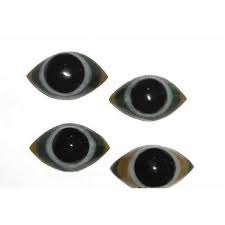 Manufacturers Exporters and Wholesale Suppliers of Bonded Shiva Eyes Vadodra Gujarat